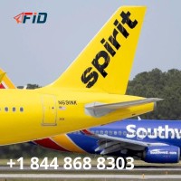 Spirit Airlines Phone Number  1 844 868 8303